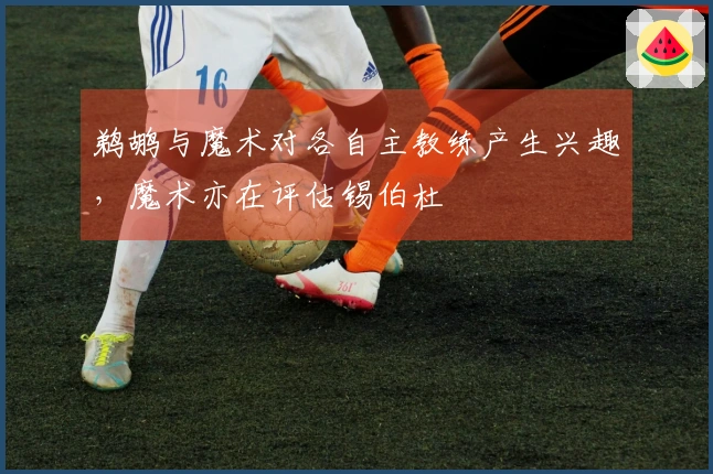 鹈鹕与魔术对各自主教练产生兴趣，魔术亦在评估锡伯杜