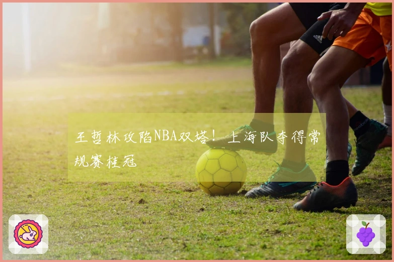 王哲林攻陷NBA双塔！上海队夺得常规赛桂冠