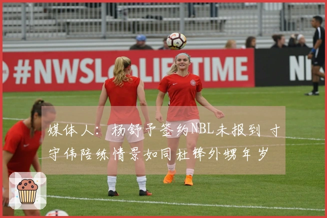 媒体人：杨舒予签约NBL未报到 寸守伟陪练情景如同杜锋外甥年岁