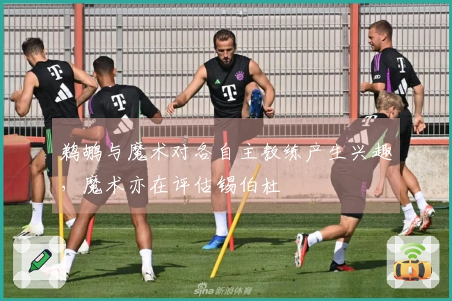 鹈鹕与魔术对各自主教练产生兴趣，魔术亦在评估锡伯杜